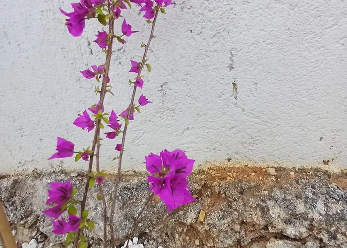 Richmond Greece *